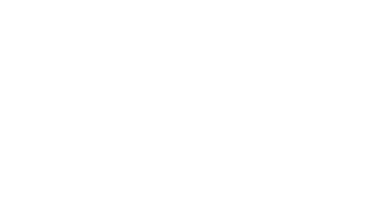 logo-lna-blanc logo-lna-blanc